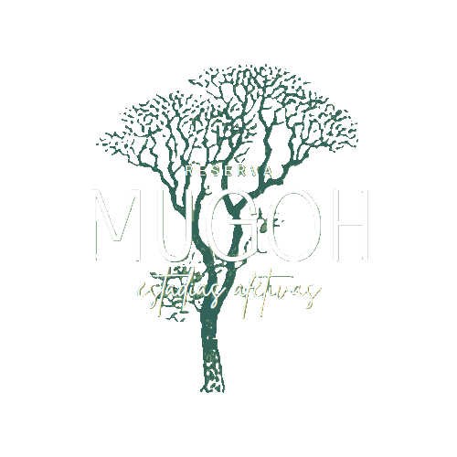 Reserva Mugoh